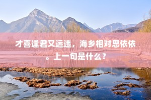 才喜逢君又远违，海乡相对思依依。上一句是什么？
