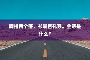 脚指两个落，衫裳百孔穿。全诗是什么？