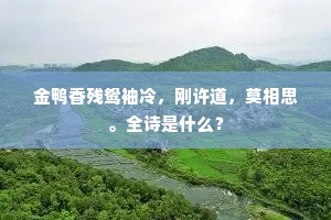 金鸭香残鸳袖冷，刚许道，莫相思。全诗是什么？