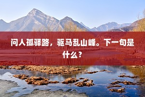 问人孤驿路，驱马乱山峰。下一句是什么？