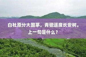 白社原分大国茅,青骢遥度长安树。上一句是什么? 白社原分大国茅,青骢遥度长安树。上一句是什么?