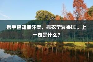 携手应知能汗漫，振衣宁复畏嵚巇。上一句是什么？