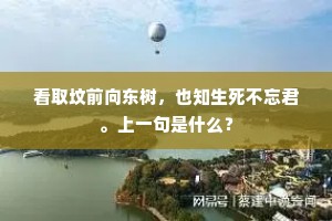 看取坟前向东树，也知生死不忘君。上一句是什么？