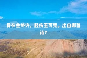 骨在金终许，胫伤玉可凭。出自哪首诗？