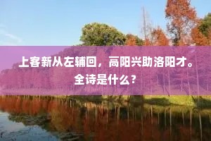 上客新从左辅回，高阳兴助洛阳才。全诗是什么？