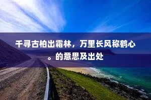 千寻古柏出霜林，万里长风称鹤心。的意思及出处
