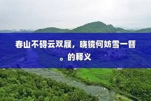 春山不碍云双屐，晓镜何妨雪一簪。的释义