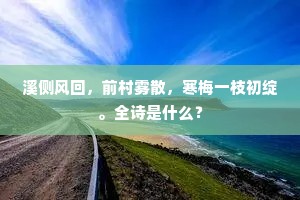 溪侧风回，前村雾散，寒梅一枝初绽。全诗是什么？
