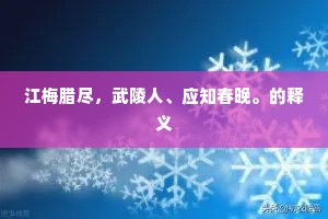 江梅腊尽，武陵人、应知春晚。的释义