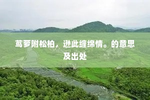 茑萝附松柏，逊此缠绵情。的意思及出处
