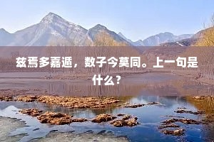 兹焉多嘉遁，数子今莫同。上一句是什么？
