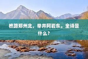 樵路郑州北，举井阿岩东。全诗是什么？