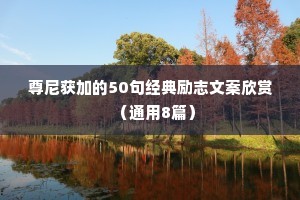 尊尼获加的50句经典励志文案欣赏（通用8篇）