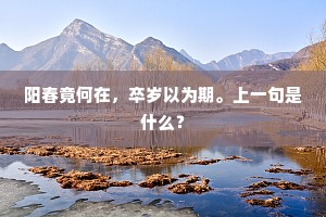 阳春竟何在，卒岁以为期。上一句是什么？