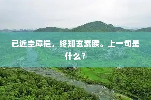 已近圭璋挹，终知玄素睽。上一句是什么？