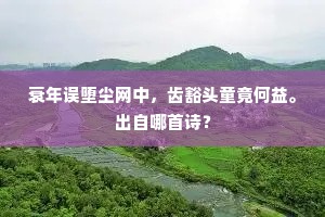 衰年误堕尘网中，齿豁头童竟何益。出自哪首诗？