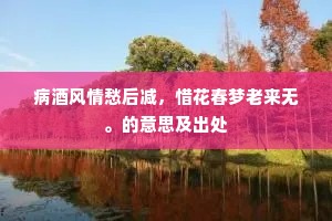 病酒风情愁后减，惜花春梦老来无。的意思及出处