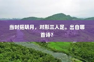 当时挹明月，对形三人足。出自哪首诗？
