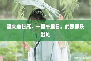 醒来送归雁，一寄千里目。的意思及出处