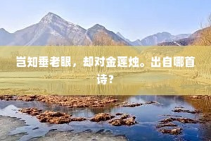 岂知垂老眼，却对金莲烛。出自哪首诗？