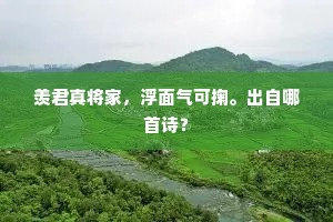 羡君真将家，浮面气可掬。出自哪首诗？