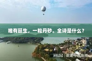 唯有延生，一粒丹砂。全诗是什么？