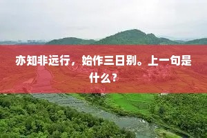 亦知非远行，始作三日别。上一句是什么？