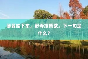 薄暮始下车，野寺投暂歇。下一句是什么？