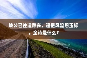 坡公已往遗踪在，遥挹风流想玉标。全诗是什么？