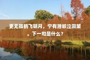 更无孤鹤飞明月，宁有潜蛟泣洞箫。下一句是什么？