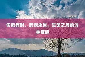 伤愈有时，遗憾永恒，生命之舟的沉重锚链