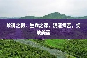 玫瑰之刺，生命之课，浇灌痛苦，绽放美丽