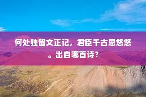 何处独留文正记，君臣千古思悠悠。出自哪首诗？
