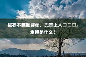 揽衣不寐倾葵藿，兜率上人□□□。全诗是什么？
