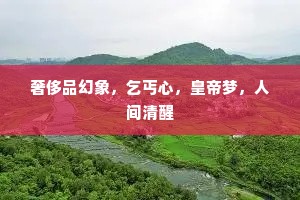 奢侈品幻象，乞丐心，皇帝梦，人间清醒