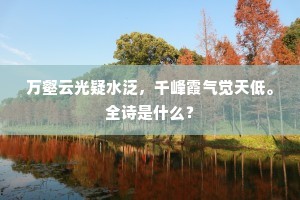 万壑云光疑水泛，千峰霞气觉天低。全诗是什么？