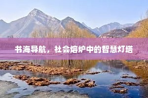 书海导航，社会熔炉中的智慧灯塔