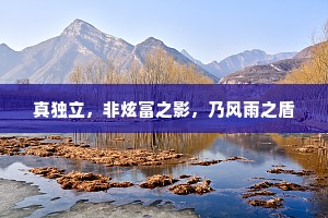 真独立，非炫富之影，乃风雨之盾