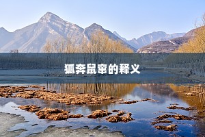 狐奔鼠窜的释义