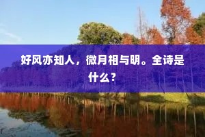 好风亦知人，微月相与明。全诗是什么？