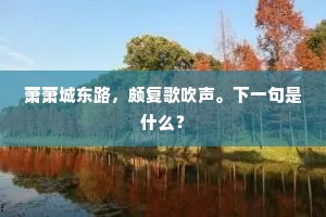 萧萧城东路，颇复歌吹声。下一句是什么？