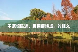 不须恨陈迹，且用催诗成。的释义