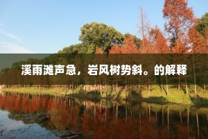 溪雨滩声急，岩风树势斜。的解释