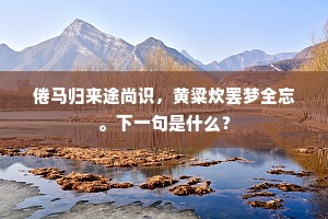 倦马归来途尚识，黄粱炊罢梦全忘。下一句是什么？