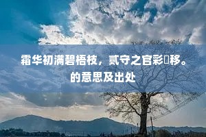 霜华初满碧梧枝，贰守之官彩鹢移。的意思及出处
