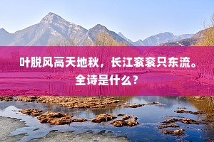 叶脱风高天地秋，长江衮衮只东流。全诗是什么？