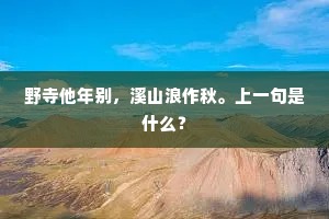 野寺他年别，溪山浪作秋。上一句是什么？