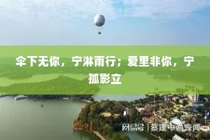 伞下无你，宁淋雨行；爱里非你，宁孤影立