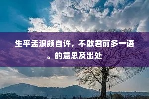 生平孟浪颇自许，不敢君前多一语。的意思及出处