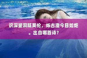 识深鉴洞既莫伦，烁古澄今目如炬。出自哪首诗？